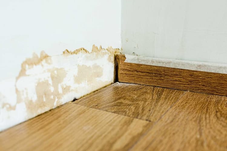 Humedades en vivienda alquilada. ¿Puede reclamar directamente el arrendatario a la comunidad?